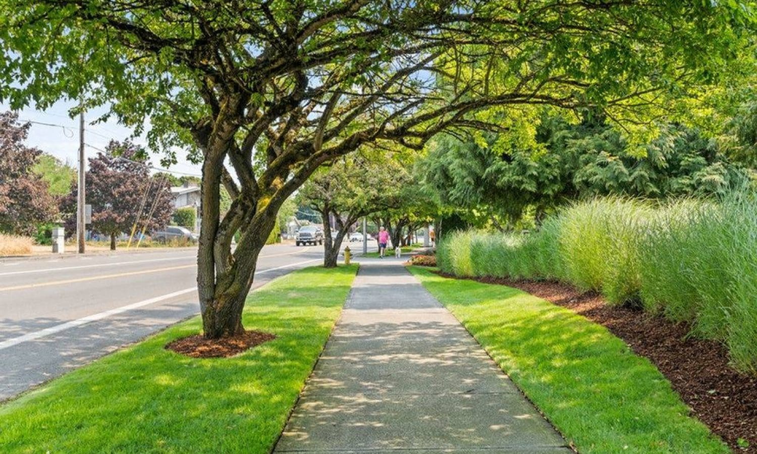 6160d4c8c51b91.94577130889